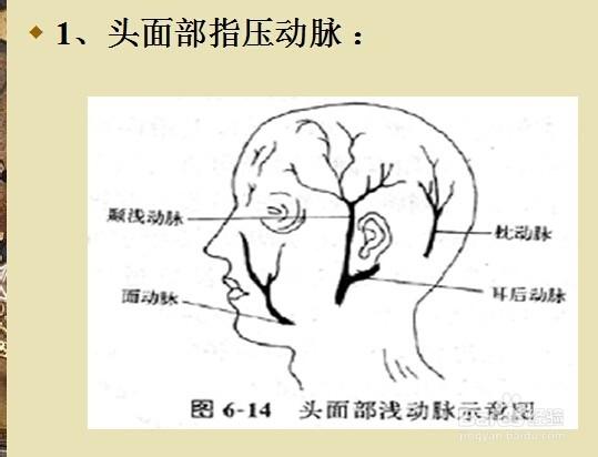 AutoDL云服务器租用优势详解与推荐