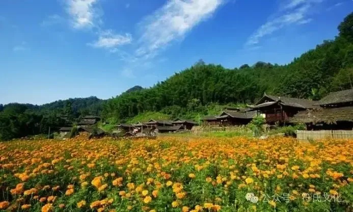 国内的云服务器哪家好用一点