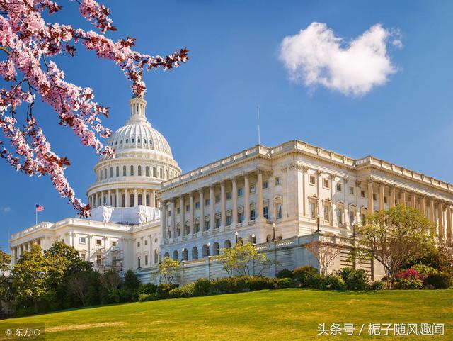 美国云服务器IP地址：隐藏的真相你必须知道！
