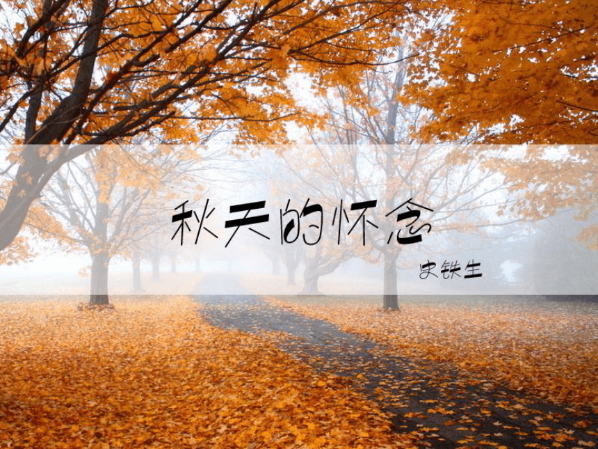千寻位置网络有限公司官网