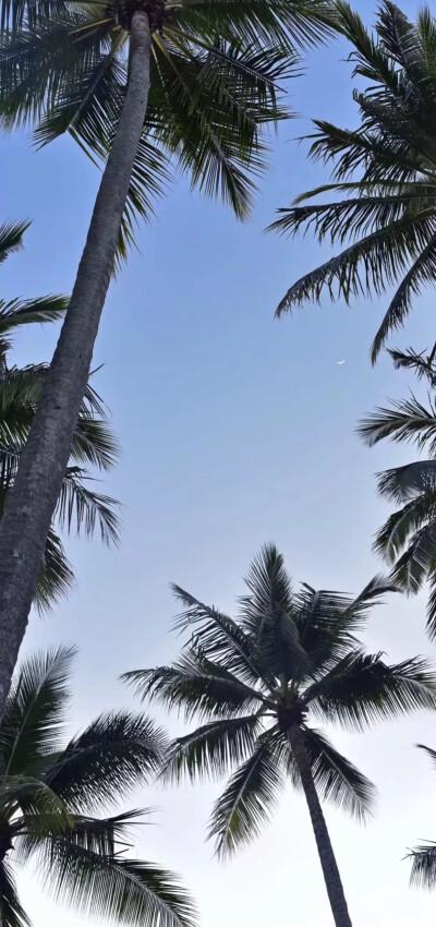 暗区实名认证换绑指南