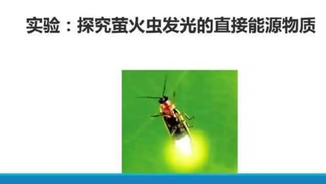 暗区如何带新手