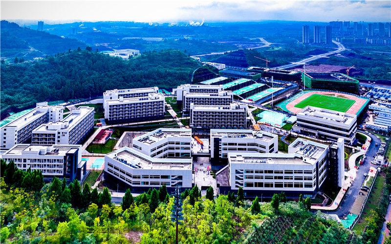 暗区数据号生成器：极速生成，安全无忧