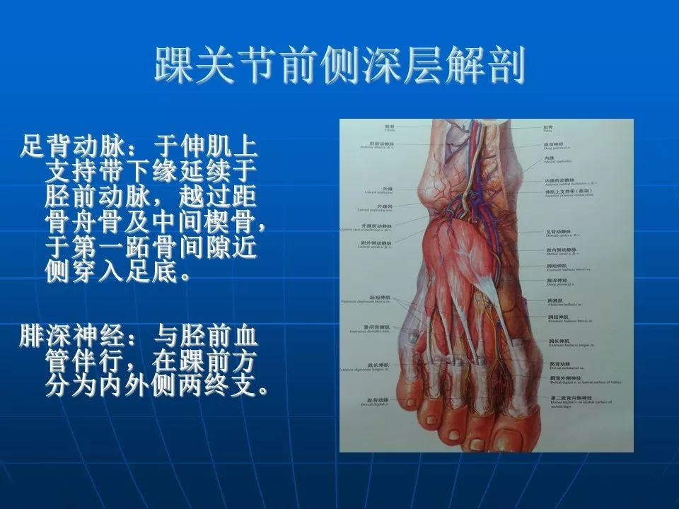 暗区账号估价官网