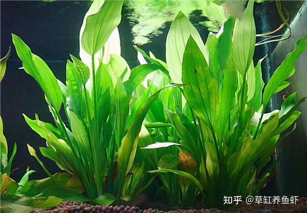 暗区找回账号攻略