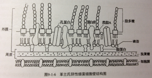 暗区出号比例多少