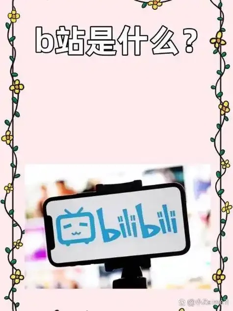 www.bilibili.com
