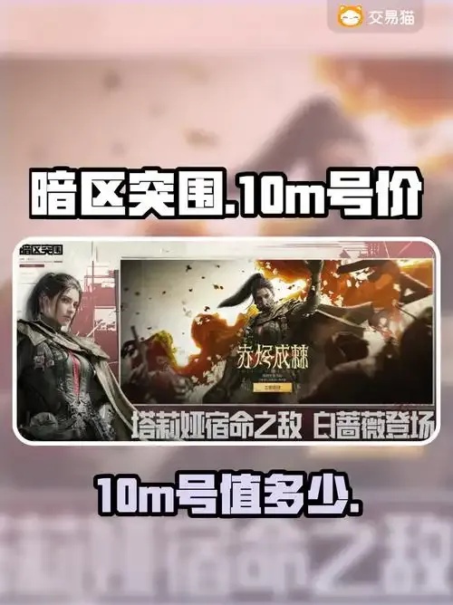暗区10m号值多少钱