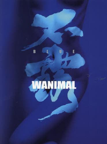 暗区破坏账号月入几何