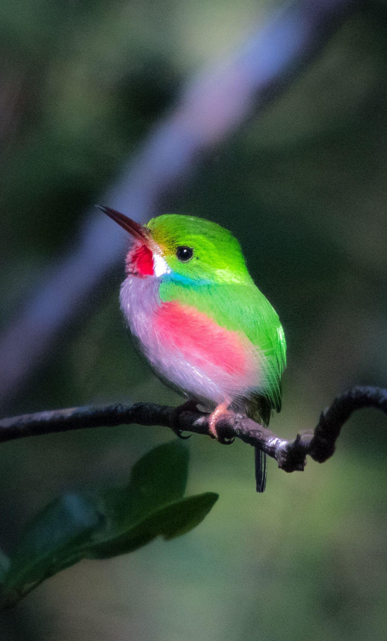 暗区号购买指南：官方渠道与注意事项