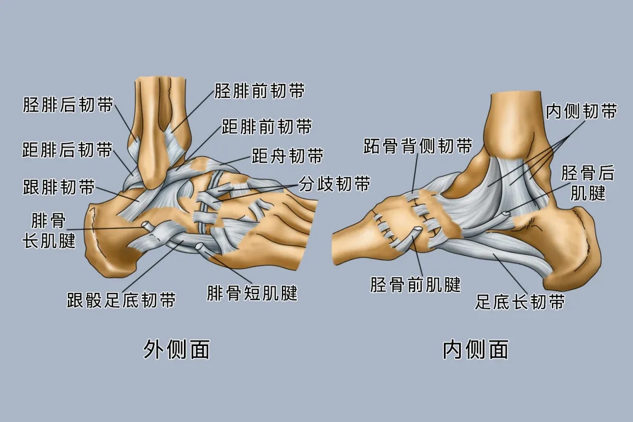暗区QQ无法登录怎么办