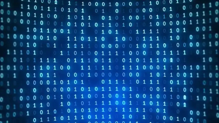 解密数据号：每个数字背后隐藏的秘密