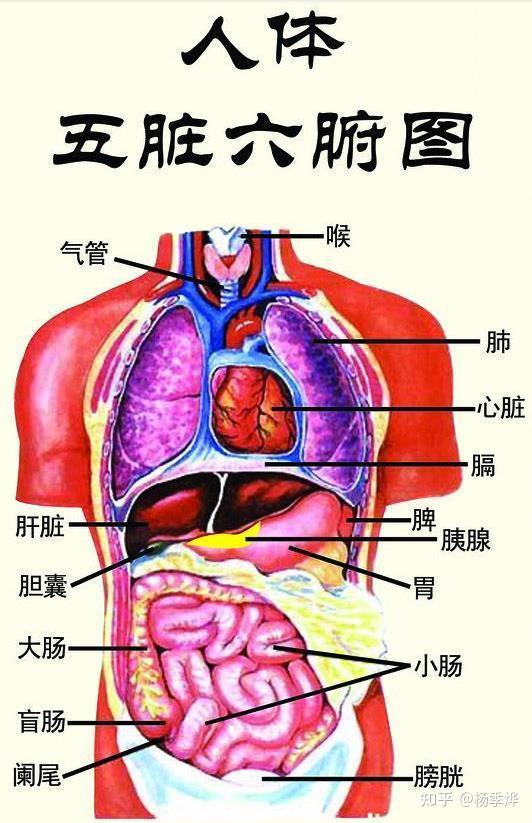 暗区突围自瞄脚本怎么用?