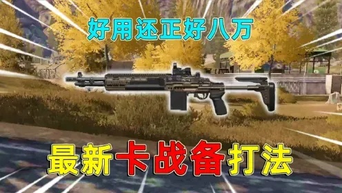 暗区突围直装科技卡密2023