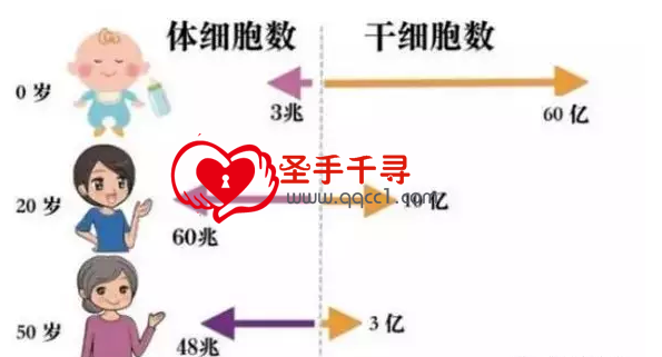 永劫无间辅助自动振刀免费版