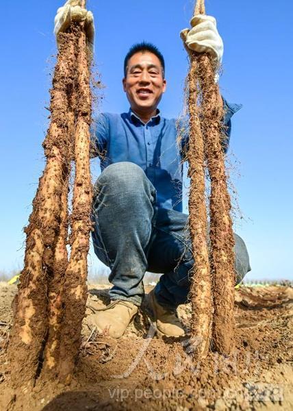 永劫无间黑号怎么弄的?详细攻略指南