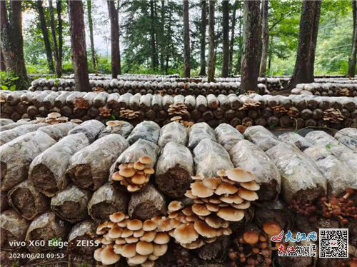 永劫无间科技辅助免费有哪些?