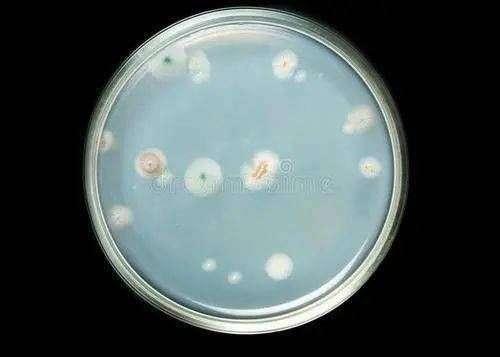 永劫无间自动振刀下载