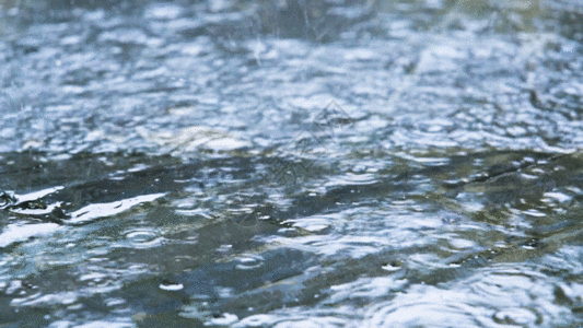 雨梦辅助官网
