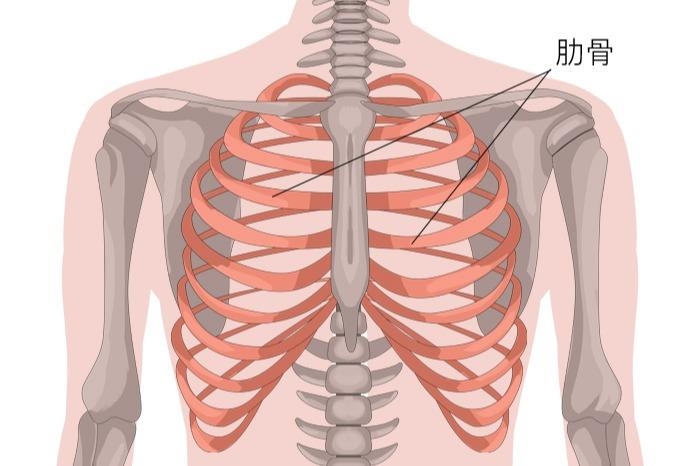 玉兔直装包:瞬间解锁神秘力量,改变你的日常!