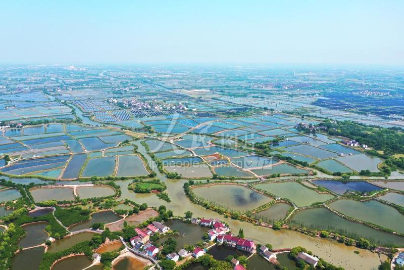 元梦之星辅助科技下载全网资源