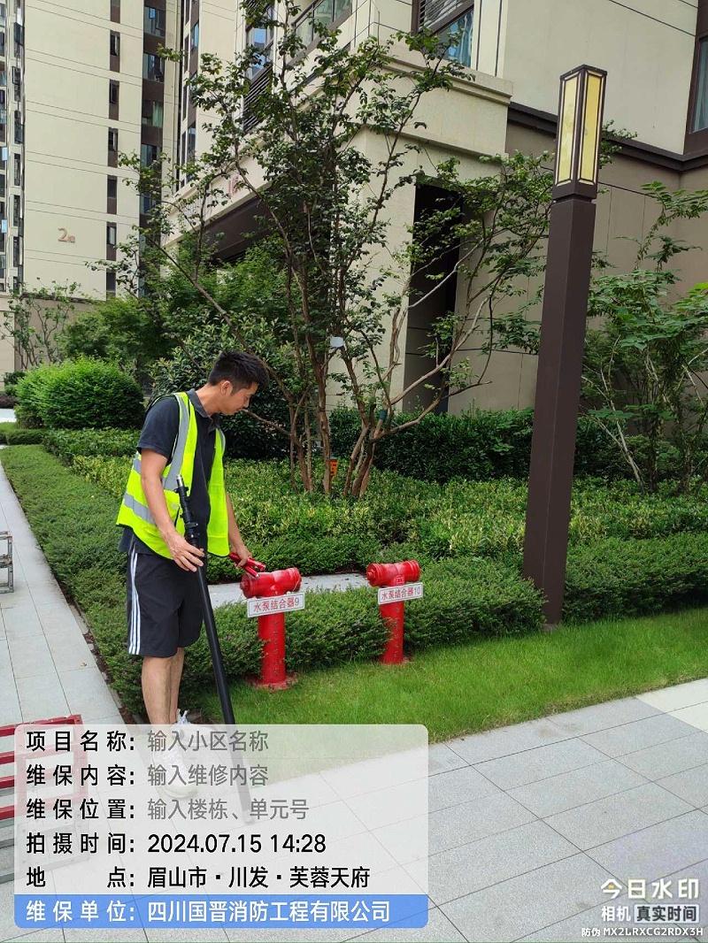 元梦之星辅助装详解:提升游戏体验的必备装备