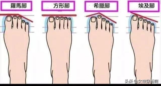 元梦之星科技透视工具站使用指南