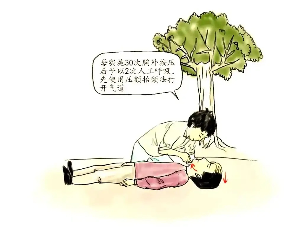 原来男性急救法救不了女性:这些急救技巧更适合女性