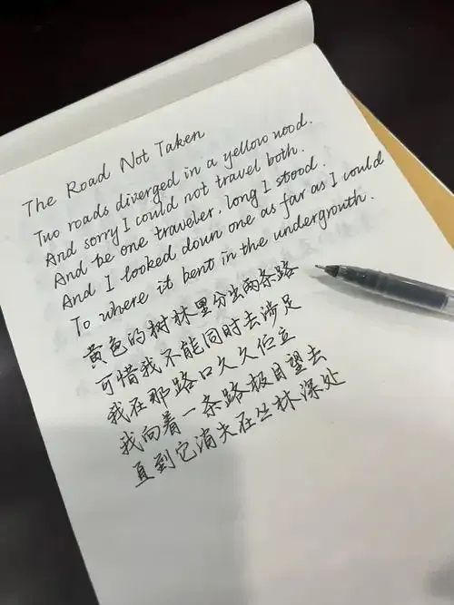 原神Road not taken歌词解析