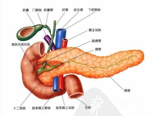 战双帕弥什科技号会封吗?