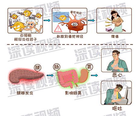 战双帕弥什科技号会封吗?