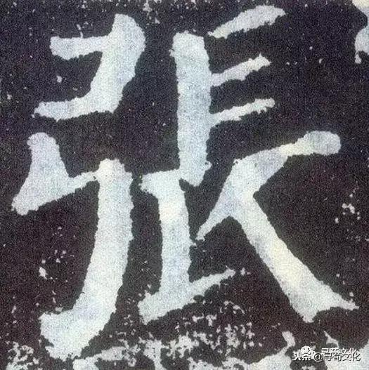 张奋是谁,张奋的故事和成就?