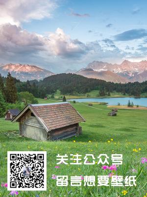 植物大战僵尸辅助软件不可不知