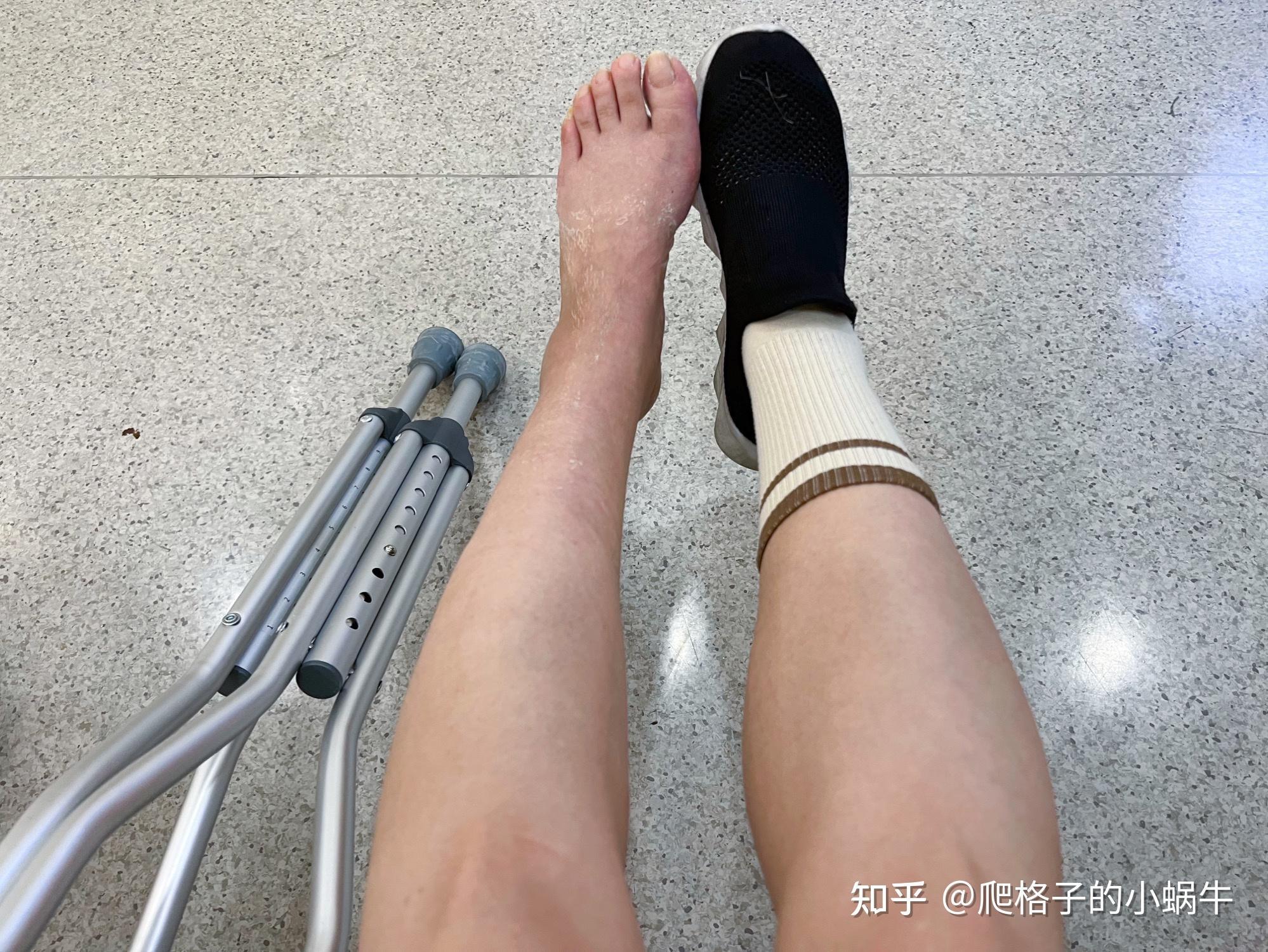 植物大战僵尸破解版全部,无限金币豆干全版本下载攻略