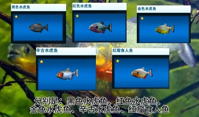 终极自动钓鱼脚本,发烧友必备!