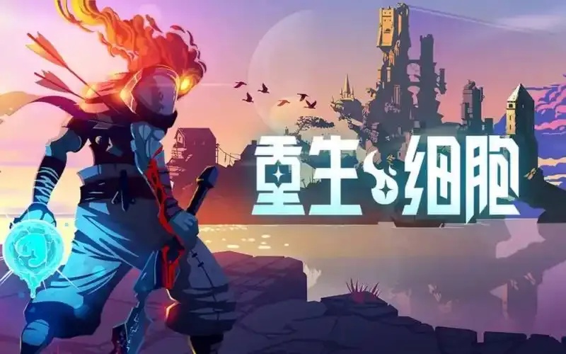 重生细胞辅助模式的影响:全面解析