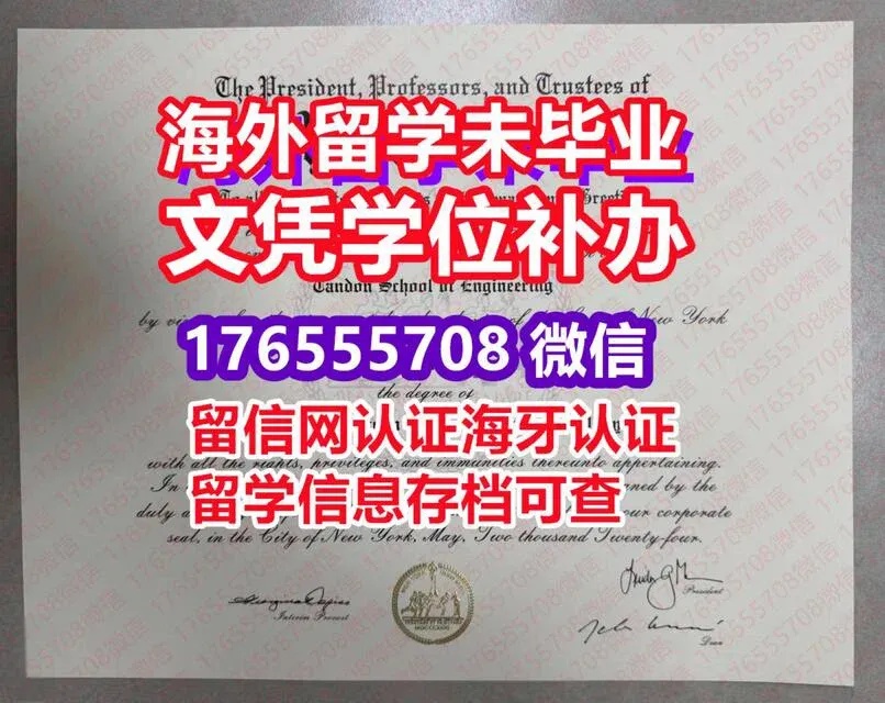 重生细胞关卡路线图攻略大全 详细攻略