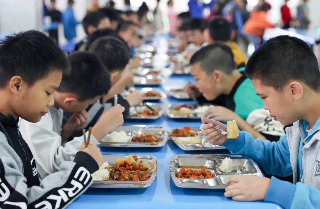 重生细胞永久免费中文电脑免费版下载