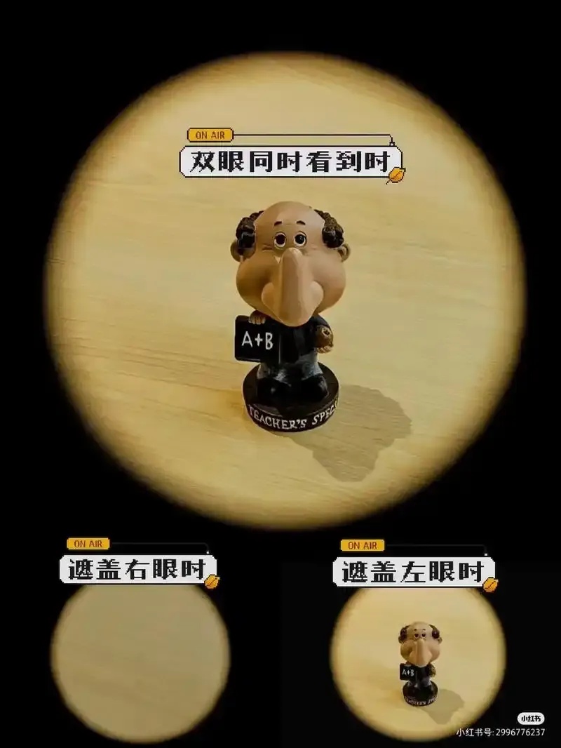 主导眼和辅助眼的区别:详解与科普