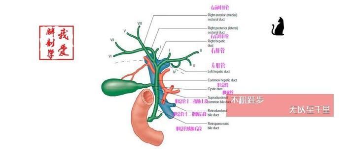 主线科技官网-产品服务解决方案