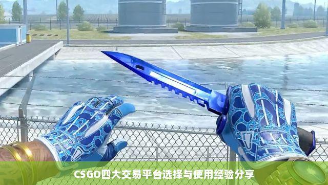 自动发卡平台CSGO使用方法详解
