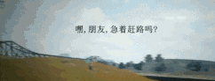 自动舔包外挂:这份隐藏攻略你绝对没见过!