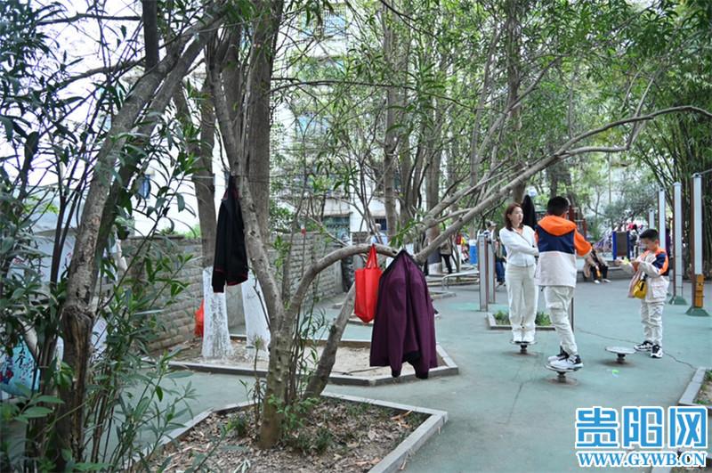 诅咒岛的梦魇:一个关于恐怖与谜团的探索