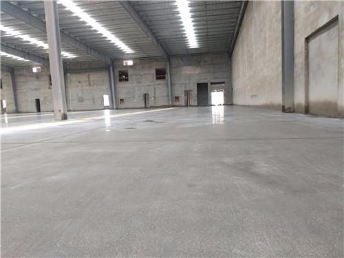 最强蜗牛辅助工具必备攻略