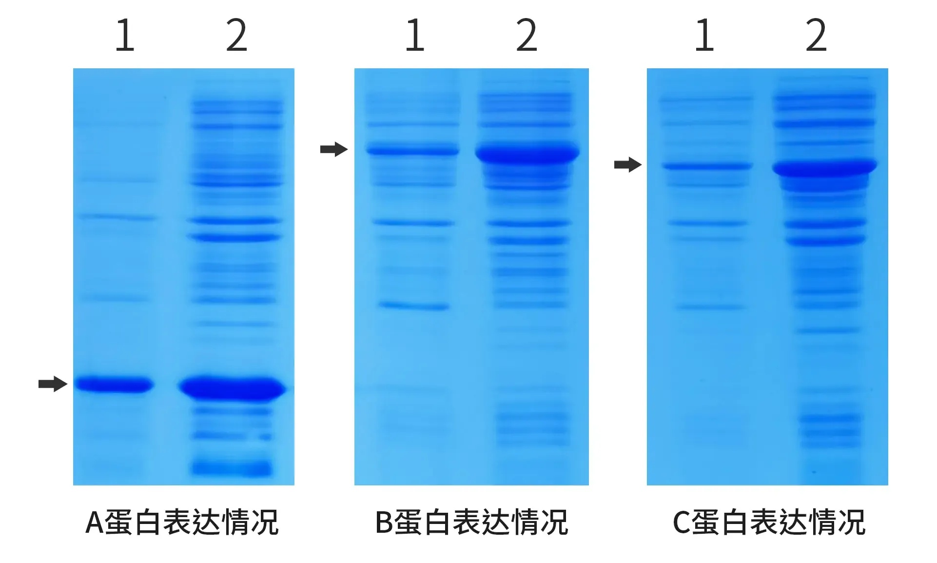 最强蜗牛科技加情报点怎么用?