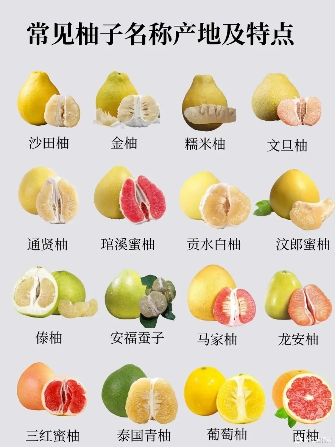 王牌战争开荒视频:有礼貌的普通人如何起步?