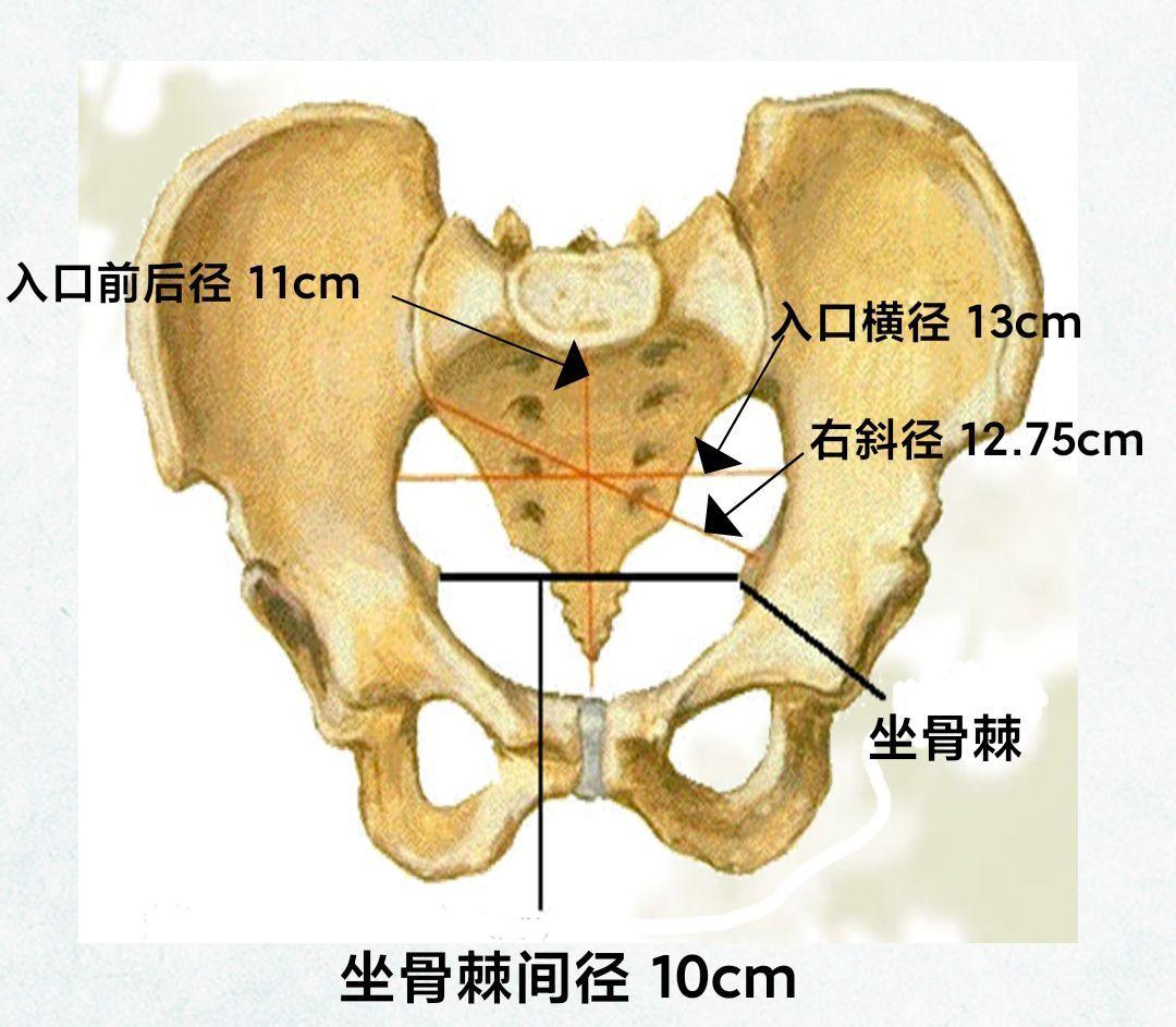 王牌战争直装挂使用方法