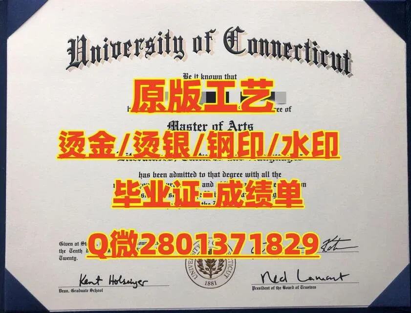 王者科技卡盟:全面解析与实用指南