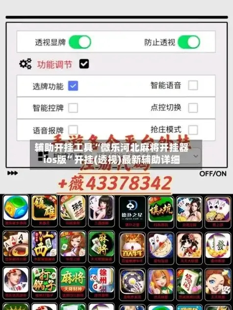 微乐辅助器ios免费版竟然是这样用的?
