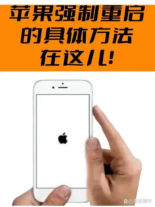 文明重启苹果挂怎么用:2024详细使用指南